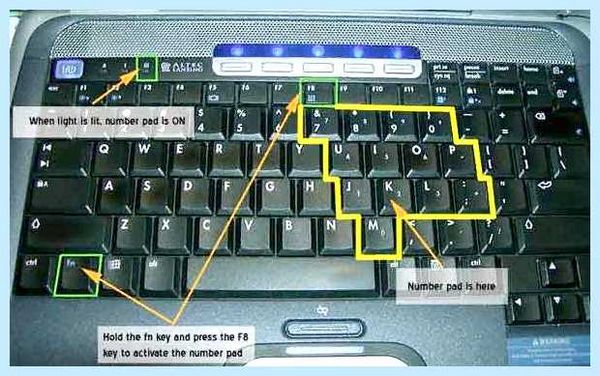 Num 1 что это (клавиша Numpad, правой части, части клавиатуры, NUMPAD клавиша) Num 1 что это