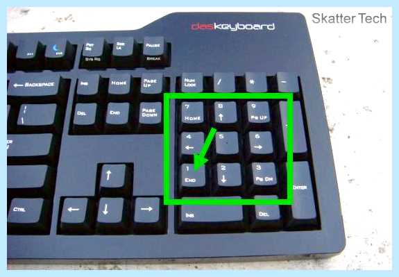 Num 1 что это (клавиша Numpad, правой части, части клавиатуры, NUMPAD клавиша) Num 1 что это