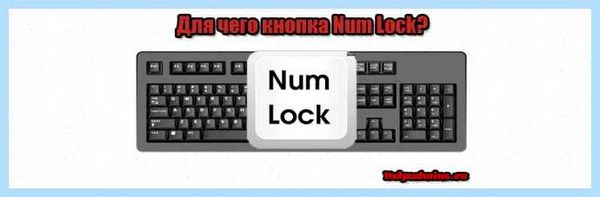 Num что за клавиша на клавиатуре