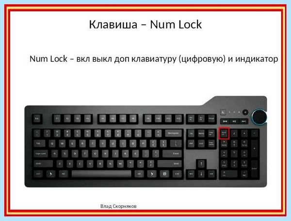 Num что за клавиша на клавиатуре