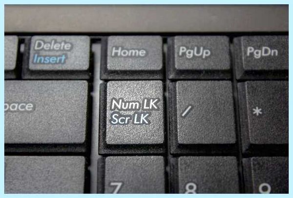 Num что за клавиша на клавиатуре