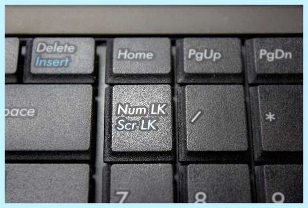 Num на клавиатуре ноутбука (клавиатура, ноутбука, NumLock ноутбуке, включить NumLock, включить NumLock ноутбуке, цифровой блок) Num на клавиатуре ноутбука