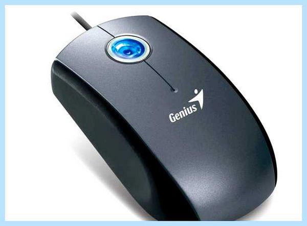 Pointing device что это за драйвер