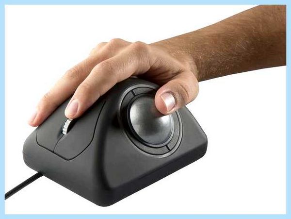 Pointing device что это (pointing, device, сенсорной панели, Pointing Device, Synaptics Pointing, решить проблему) Pointing device что это