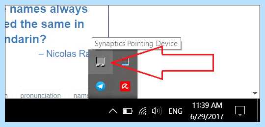 Pointing device что это (pointing, device, сенсорной панели, Pointing Device, Synaptics Pointing, решить проблему) Pointing device что это