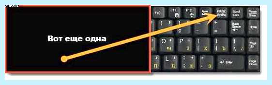 Print screen где находится (print, screen, находить, сделать скриншот, Windows Windows, сохраняются скриншоты) Print screen где находится