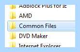 Program files x86 common files