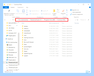 Program files x86 common files