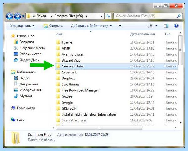 Program files x86 common files