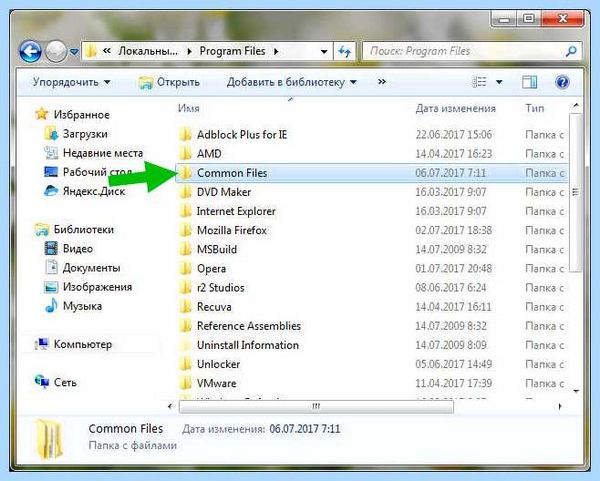 Program files x86 common files