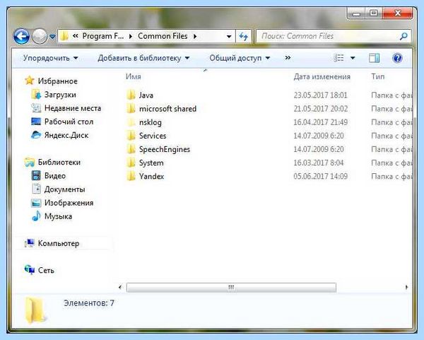 Program files x86 common files
