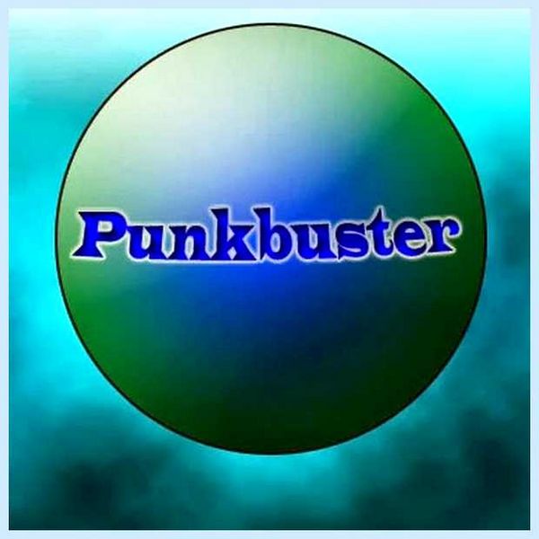 Punkbuster что это такое