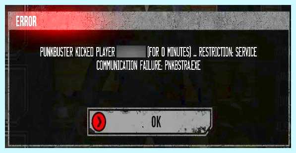 Punkbuster что это