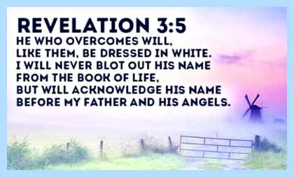 Rev 3 5