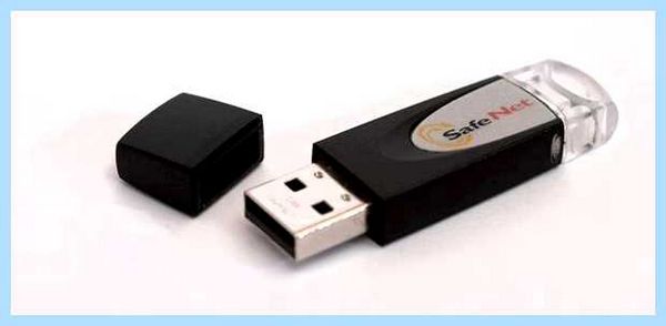 Safenet sentinel что это (safenet, sentinel, Sentinel Envelope, Sentinel Protection) Safenet sentinel что это