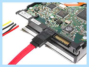 Sata 3 0 (sata, передачи данных, SATA SATA, пропускную способность, рублей месяц, скорость передачи) Sata 3 0