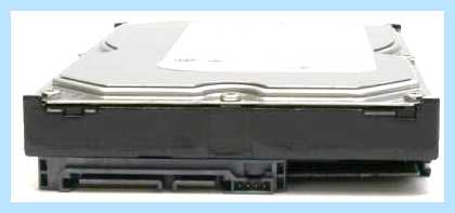 Sata 3 0 (sata, передачи данных, SATA SATA, пропускную способность, рублей месяц, скорость передачи) Sata 3 0