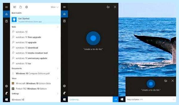 Search and cortana