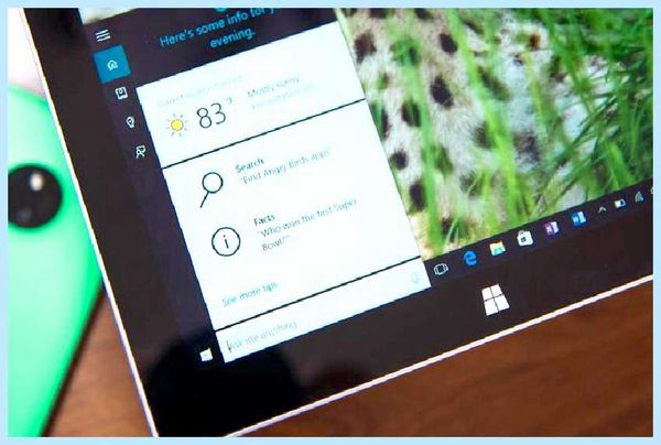 Search and cortana