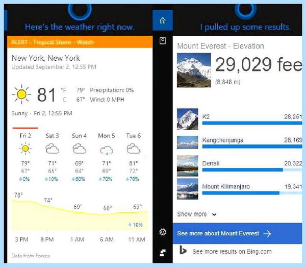 Search and cortana