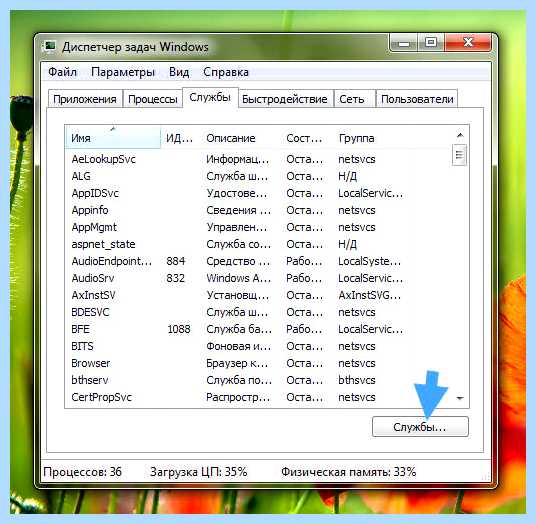 Search app windows 10 что это