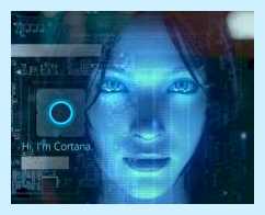 Search application что это windows 10