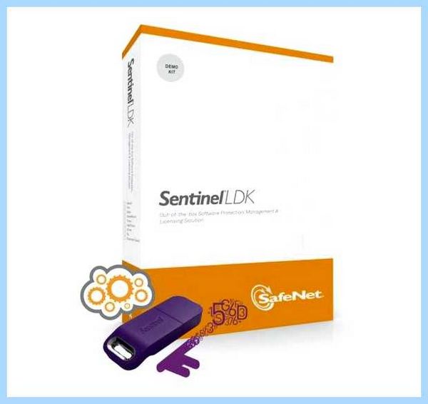 Sentinel ldk protection system