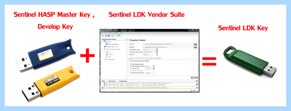Sentinel ldk protection system