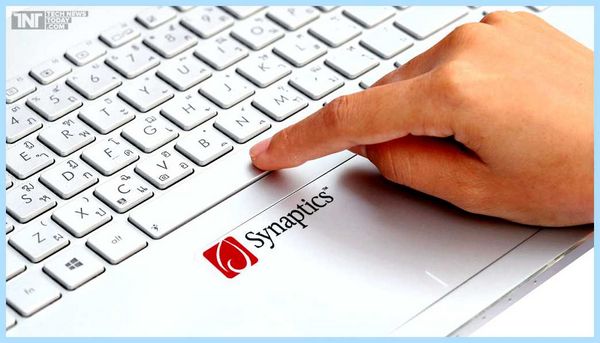 Synaptics для чего нужна эта программа