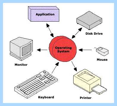 Software and drivers что это