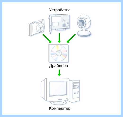 Software and drivers что это