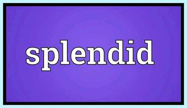 Splendid что это