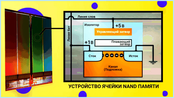Add in card
