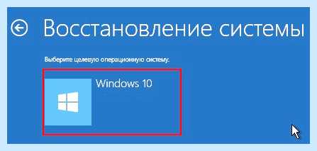 Support kaspersky ru common service
