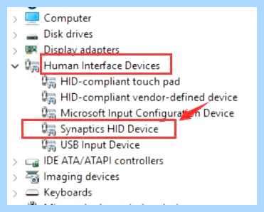 Synaptics touchpad не работает