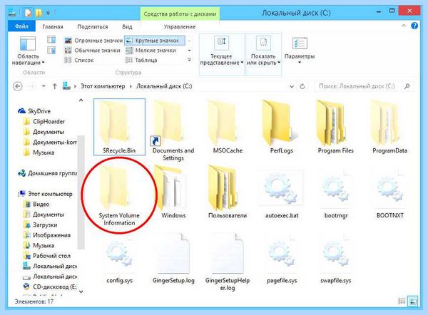 System volume information