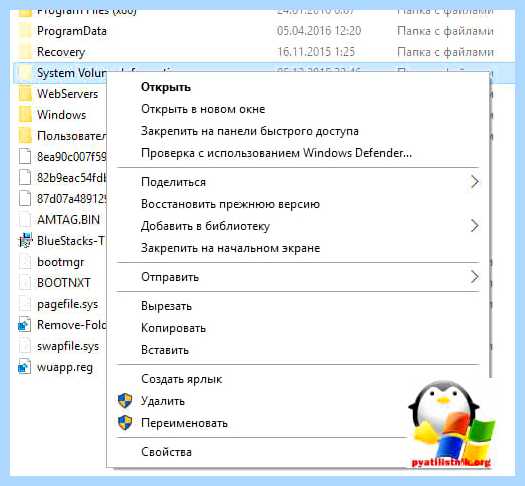 System volume information