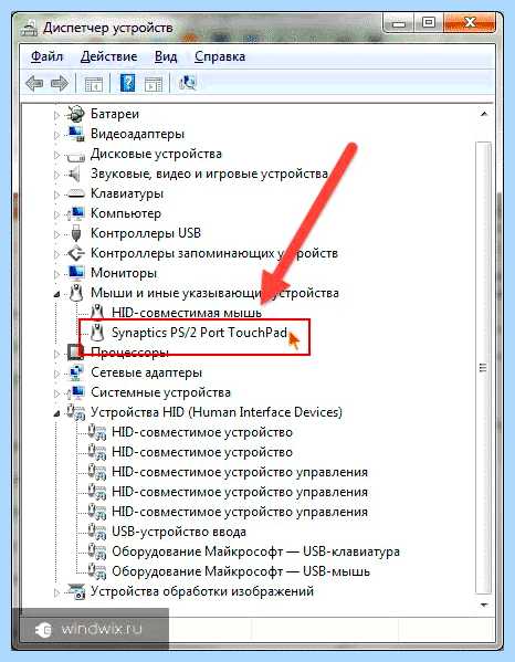 Touchpad synaptics что это