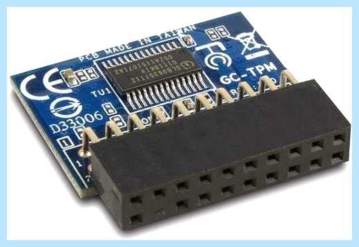 Tpm module что это