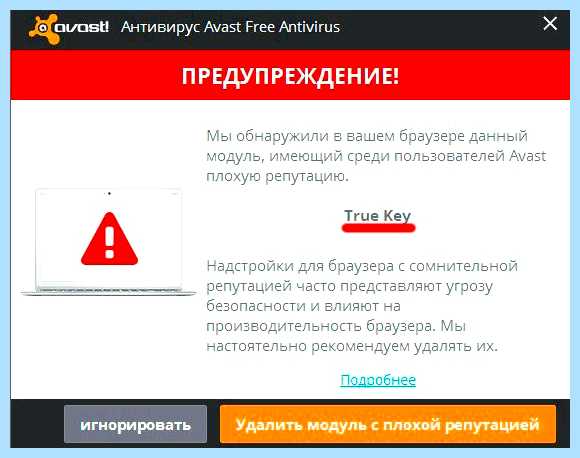 True key это (true, программа True, True программа, True компьютера) True key это