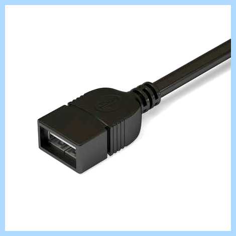 Usb c что это фото