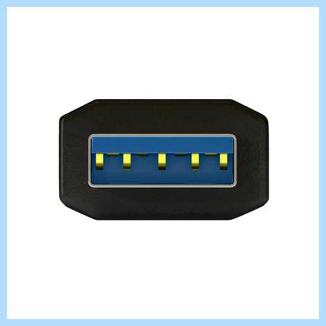 Usb c что это фото