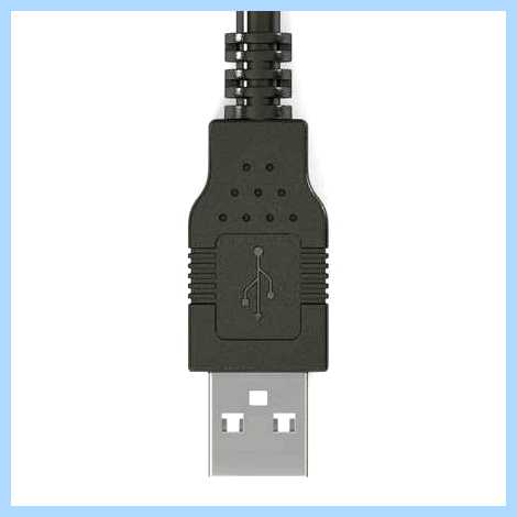 Usb c что это фото