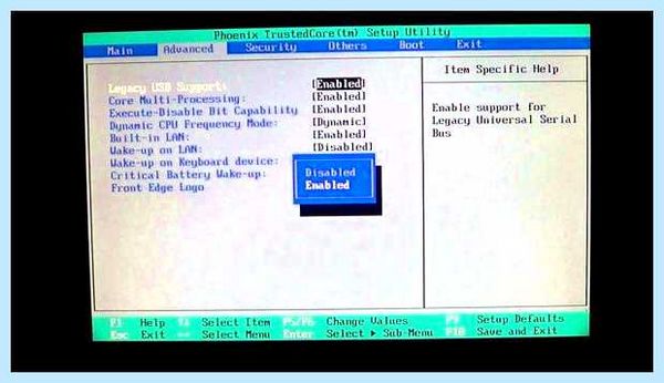 Usb legacy что это (legacy, операционной системы, Legacy Support, BIOS Legacy) Usb legacy что это