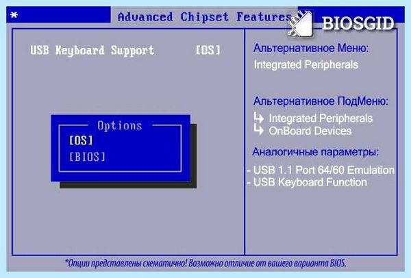 Usb support что это