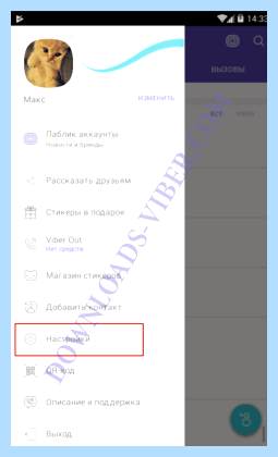 Viber в сети