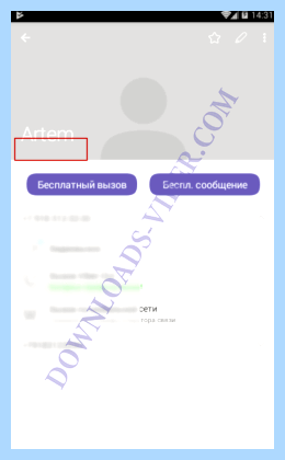 Viber в сети