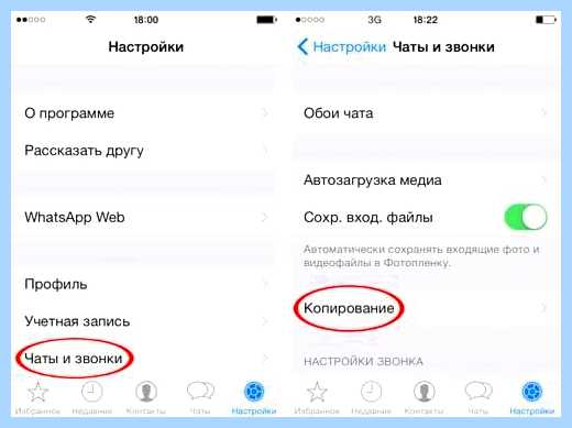 Whatsapp на другом телефоне (whatsapp, друг, телефон, чаты WhatsApp, перенести чаты) Whatsapp на другом телефоне