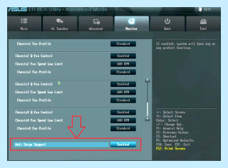 Anti surge asus