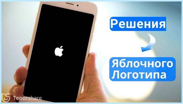 Apple не включается горит яблоко (apple, включать, гореть, яблоко, кнопку питания, уменьшения громкости) Apple не включается горит яблоко